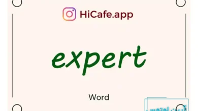 Meaning and usage of expert word