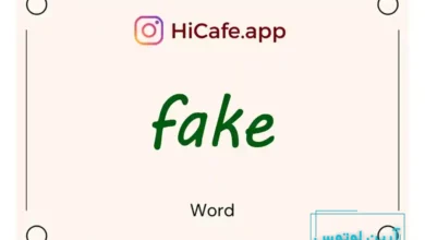Meaning and usage of fake word