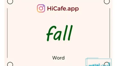 Meaning and usage of fall word