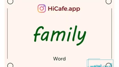 Meaning and usage of family word