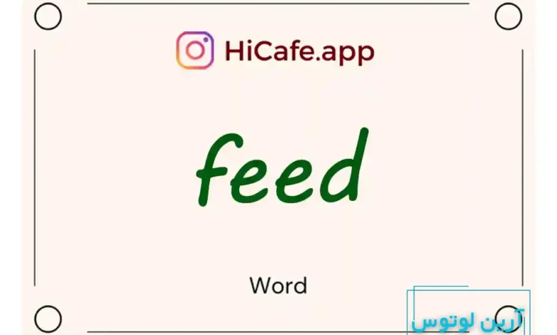 Meaning and usage of feed word