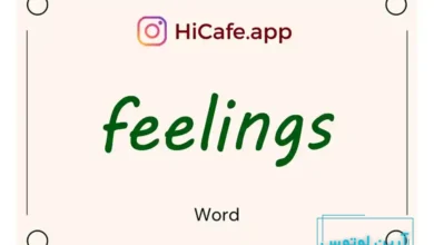 Meaning and usage of feelings word