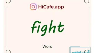 Meaning and usage of fight word
