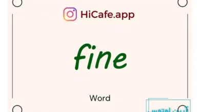 Meaning and usage of fine word