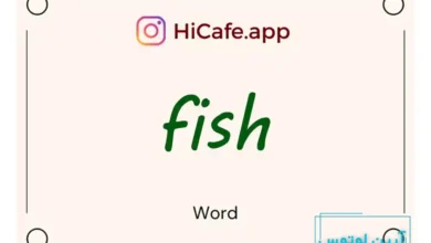 Meaning and usage of fish word
