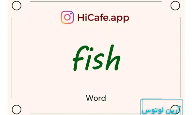 Meaning and usage of fish word
