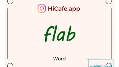 Meaning and usage of flab word