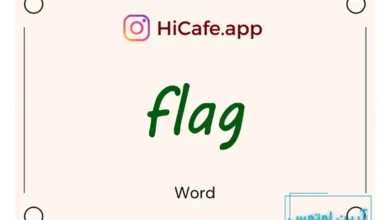 Meaning and usage of flag word