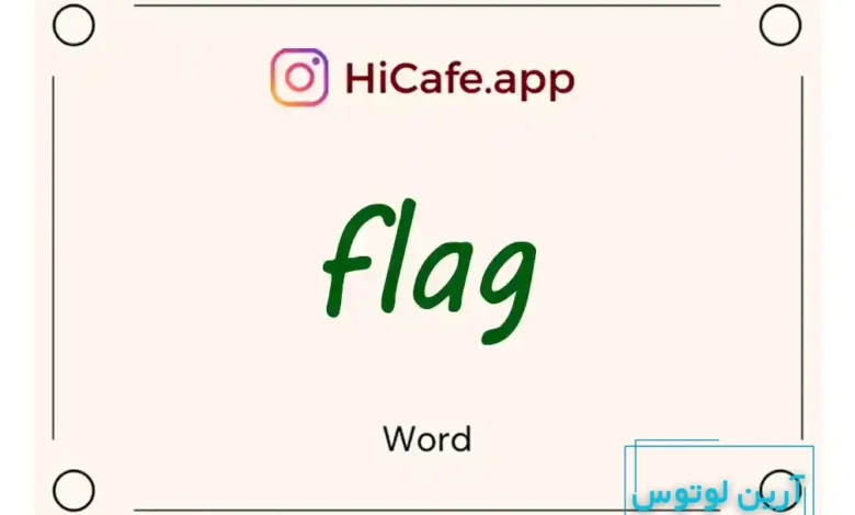 Meaning and usage of flag word