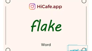 Meaning and usage of flake word