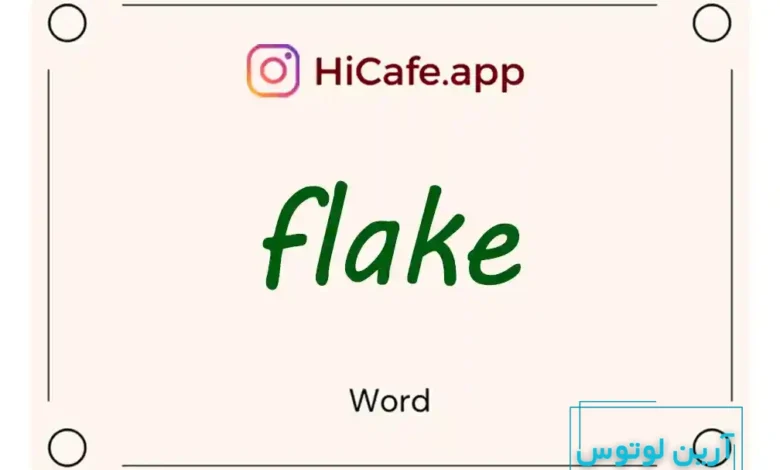 Meaning and usage of flake word