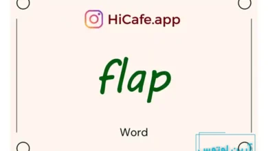 Meaning and usage of flap word