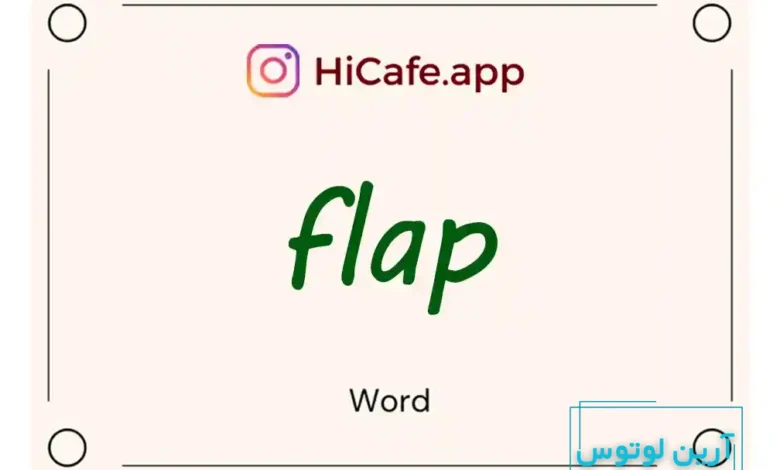 Meaning and usage of flap word