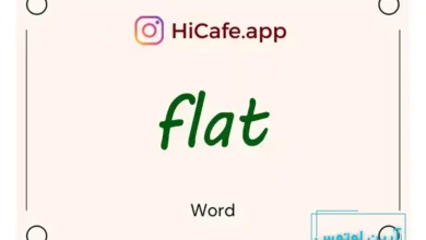 Meaning and usage of flat word