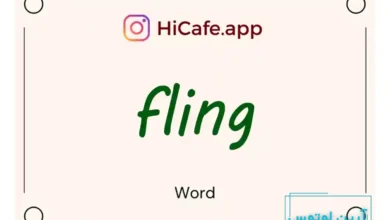 Meaning and usage of fling word