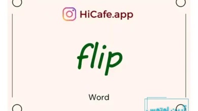 Meaning and usage of flip word