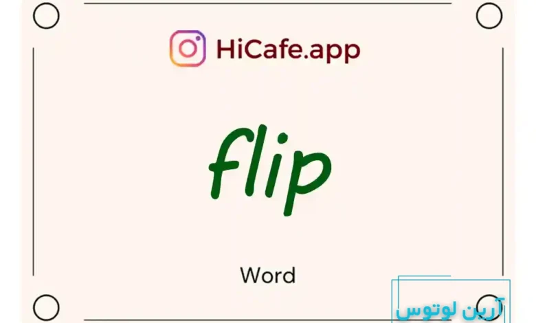 Meaning and usage of flip word