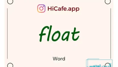 Meaning and usage of float word