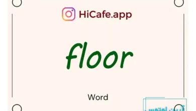 Meaning and usage of floor word
