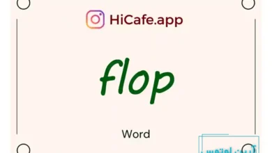 Meaning and usage of flop word