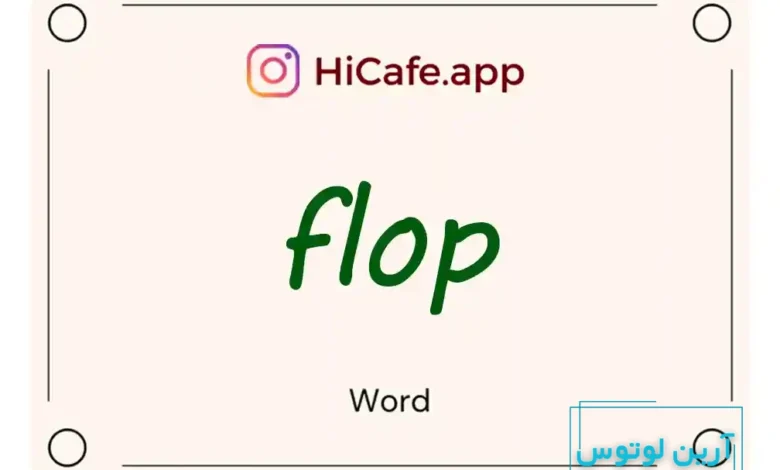 Meaning and usage of flop word