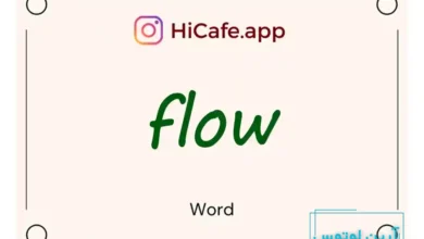 Meaning and usage of flow word