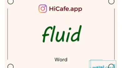 Meaning and usage of fluid word