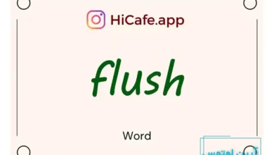 Meaning and usage of flush word