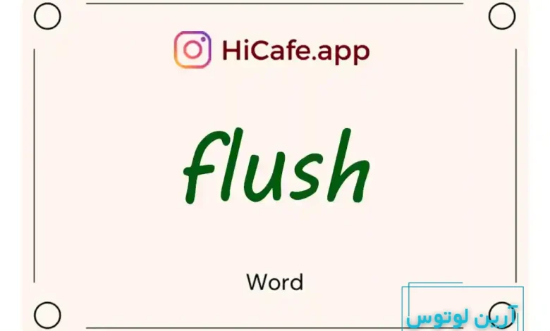 Meaning and usage of flush word