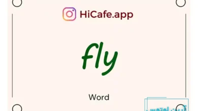 Meaning and usage of fly word