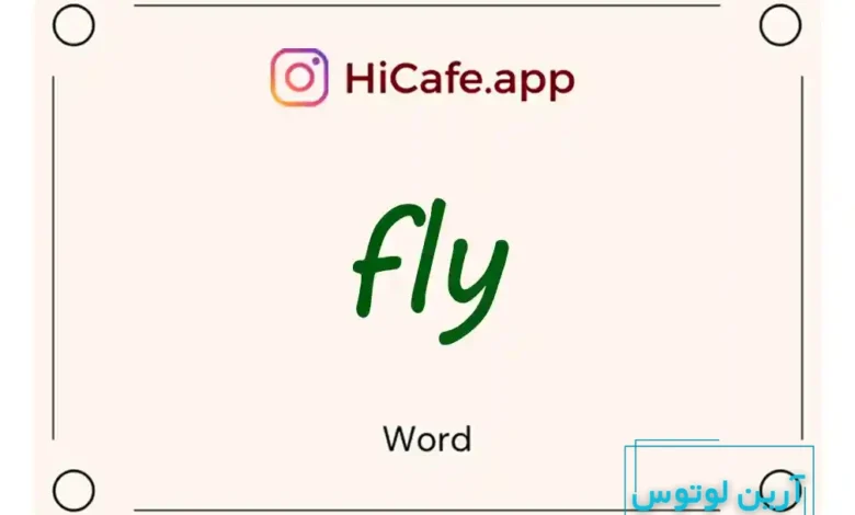 Meaning and usage of fly word