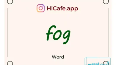 Meaning and usage of fog word