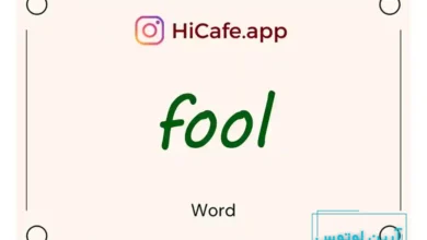 Meaning and usage of fool word