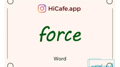 Meaning and usage of force word