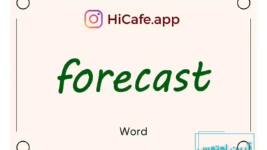 Meaning and usage of forecast word