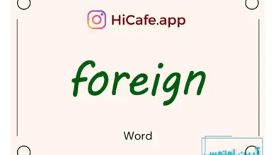 Meaning and usage of foreign word