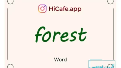 Meaning and usage of forest word