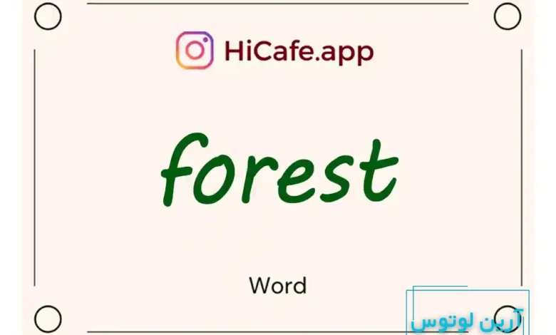 Meaning and usage of forest word