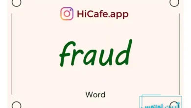 Meaning and usage of fraud word
