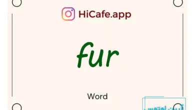 Meaning and usage of fur word