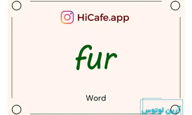 Meaning and usage of fur word