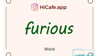 Meaning and usage of furious word