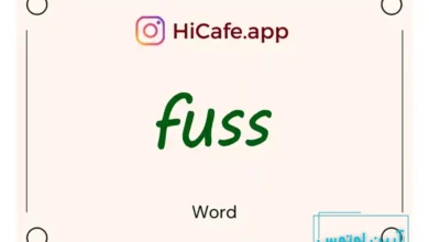 Meaning and usage of fuss word