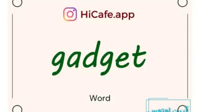 Meaning and usage of gadget word