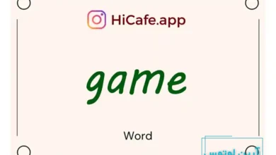 Meaning and usage of game word