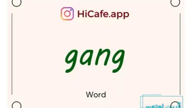 Meaning and usage of gang word