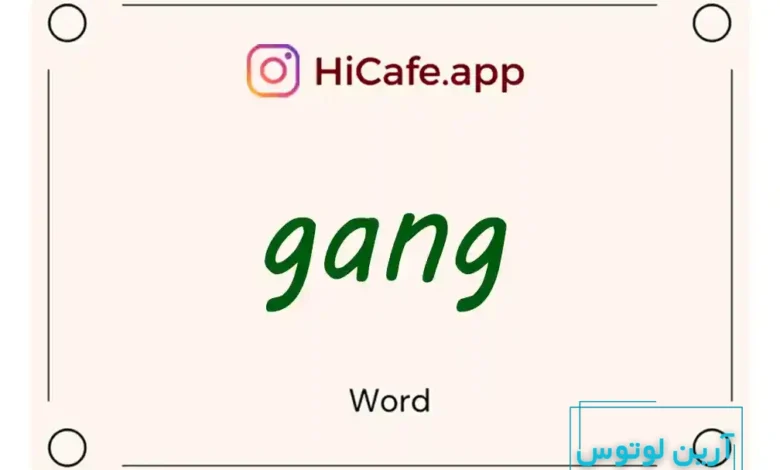 Meaning and usage of gang word