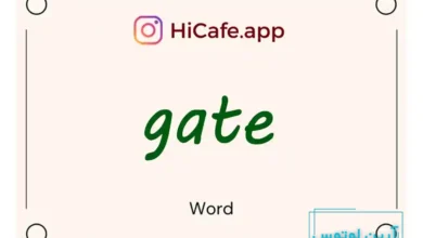 Meaning and usage of gate word