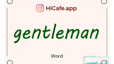 Meaning and usage of gentleman word