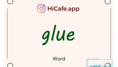 Meaning and usage of glue word